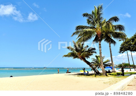 ハワイの休日 89848280