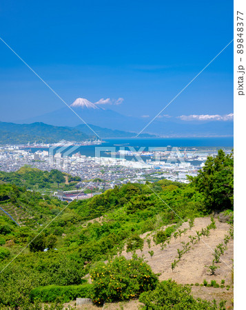 静岡日本平_駿河湾から見る富士山 89848377