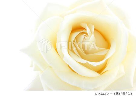 バラ バラ 89849418