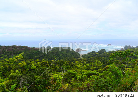 絶景種子島 絶景種子島 89849822