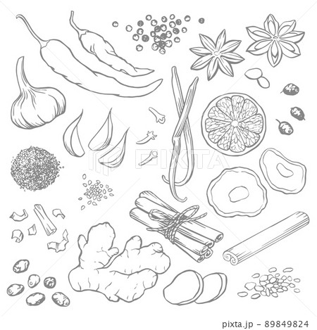 Set of elements for design, spices and seasonings, vector illustrations, line art Set of elements for design, spices and seasonings, vector illustrations, line art 89849824
