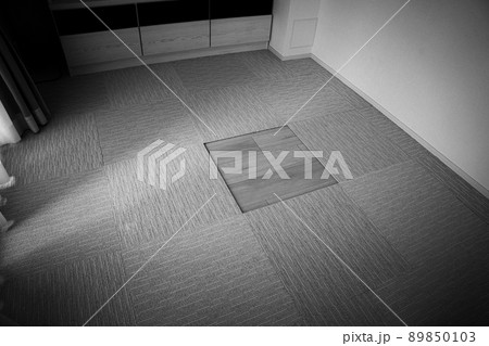 タイルカーペットが一枚だけ抜けているリビング 89850103