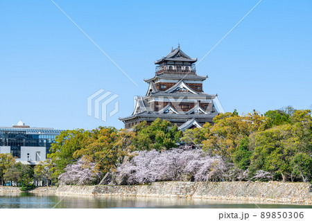 広島県広島市　満開の桜と快晴の空　広島城天守 89850306