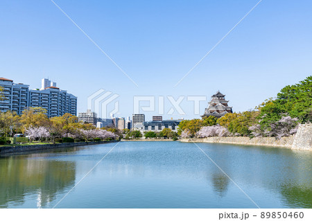 広島県広島市　満開の桜と広島城（広島城周辺の街並み） 89850460