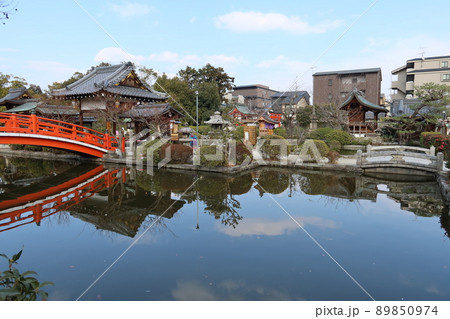 京都市にある日本庭園の神泉苑にある法成就池と善女龍王社等の風景 89850974