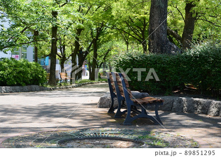 シリーズ ベンチのある風景 11 シリーズ ベンチのある風景 11 89851295
