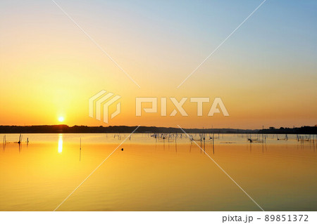 千葉県　夜明けの印旛沼 89851372
