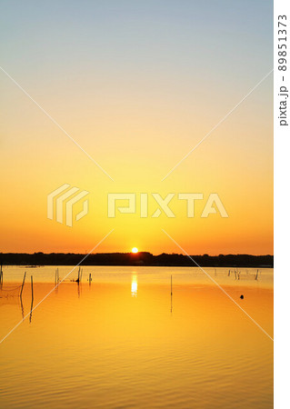 千葉県　夜明けの印旛沼 89851373