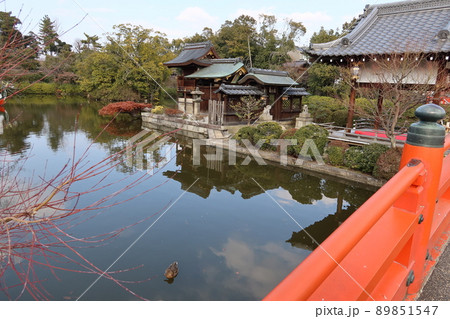 京都市にある神泉苑の善女龍王社と法成就池の風景 89851547