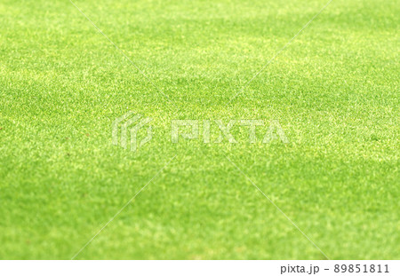 grass background Golf Courses green lawn grass background Golf Courses green lawn 89851811