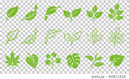 Leaf leaf icon illustration set Leaf leaf icon illustration set 89851816