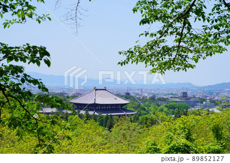 五月・新緑の中の東大時 89852127