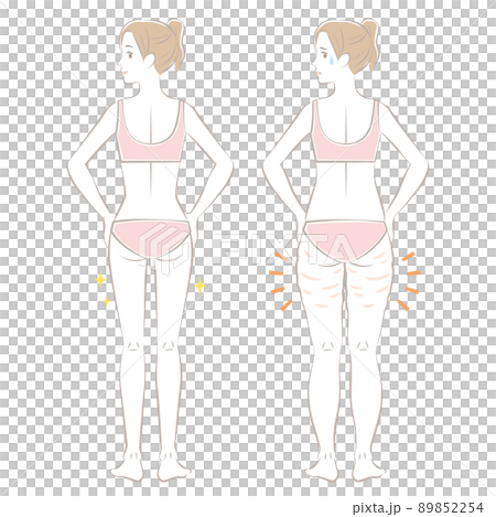 下半身胖女人 89852254