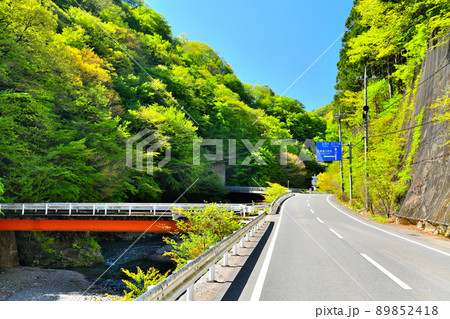 上野村の風景(群馬県上野村)【2022.5】 上野村の風景(群馬県上野村)【2022.5】 89852418
