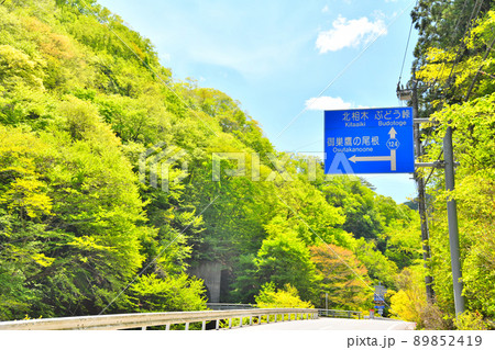 上野村の風景(群馬県上野村)【2022.5】 89852419