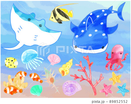海の生き物の手描き風水彩イラストセット 89852552