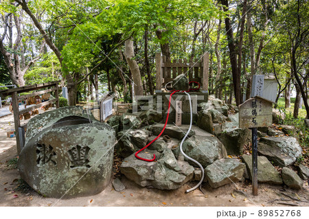 おのころ島神社 89852768