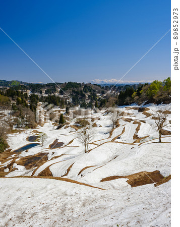 新潟_残雪残る蒲生の棚田の絶景 89852973