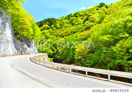上野村の風景(群馬県上野村)【2022.5】 上野村の風景(群馬県上野村)【2022.5】 89853029