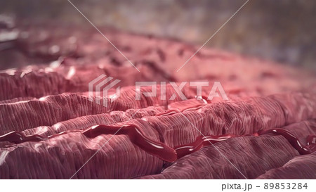 Cardiac Muscle cells 3d medical Cardiac Muscle cells 3d medical 89853284
