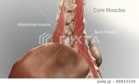 Chronic Low Back Pain. showing pain in the lower back 89853330