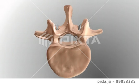 Chronic Low Back Pain. showing pain in the lower back 89853335