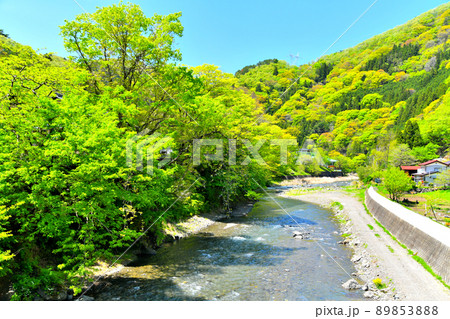 上野村の風景/小春橋より上流方向を望む(群馬県上野村)【2022.5】 上野村の風景/小春橋より上流方向を望む(群馬県上野村)【2022.5】 89853888