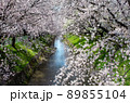 名古屋の春 89855104