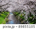 名古屋の春 89855105