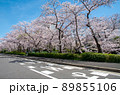 名古屋の春 89855106