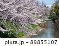 名古屋の春 89855107