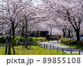 名古屋の春 89855108