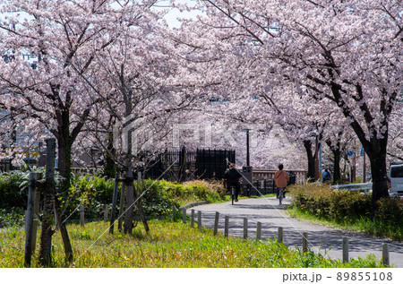 名古屋の春 89855108