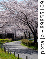 名古屋の春 89855109