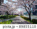 名古屋の春 89855110