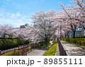 名古屋の春 89855111
