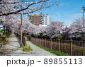 名古屋の春 89855113