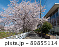 名古屋の春 89855114