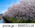 名古屋の春 89855116