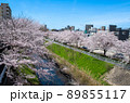 名古屋の春 89855117