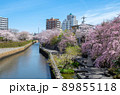 名古屋の春 89855118