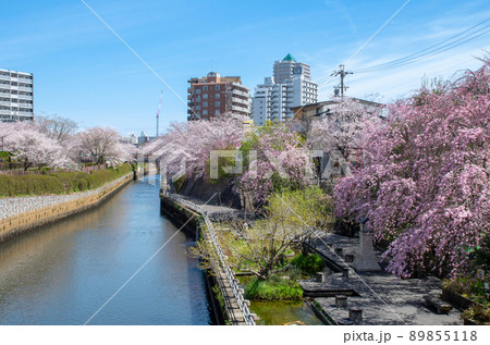 名古屋の春 名古屋の春 89855118