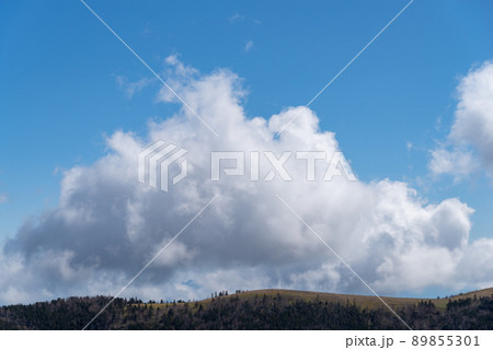 高原の青空 89855301
