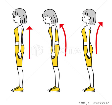 正しい立ち方 姿勢 女性のイラスト素材