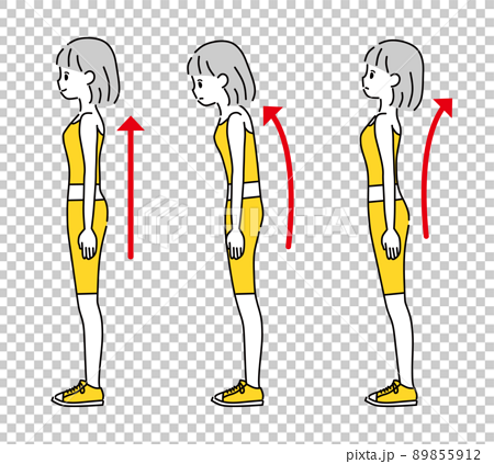 正しい立ち方 姿勢 女性のイラスト素材