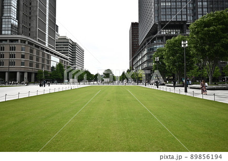 Tapis vert　緑の絨毯　新緑の散歩道　東京駅前広場　皇居方面を望む 89856194