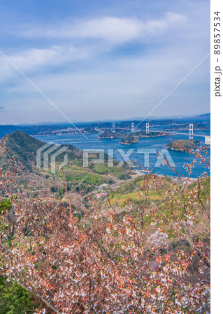 【瀬戸内しまなみ海道】桜咲く亀老山展望公園から望む、来島海峡大橋 89857534