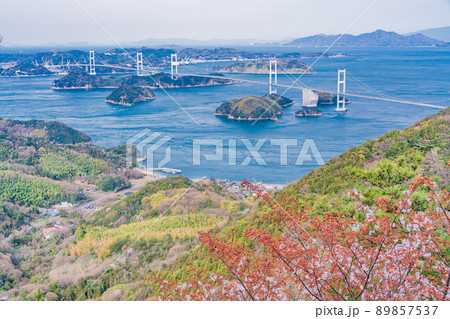 【瀬戸内しまなみ海道】桜咲く亀老山展望公園から望む、来島海峡大橋 89857537