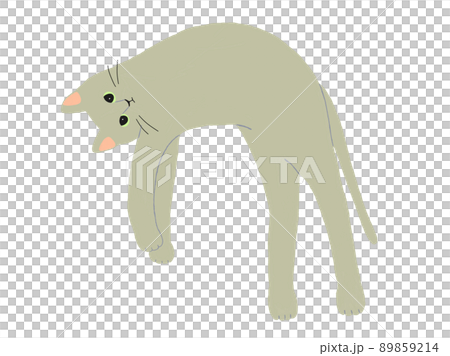 だらけたフチ無し猫 89859214