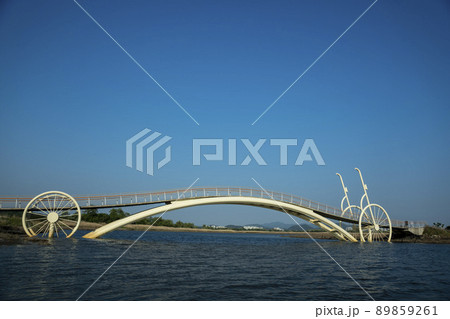 風景 生態公園 始興市 89859261